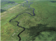 再自然化が進められているキシミー川