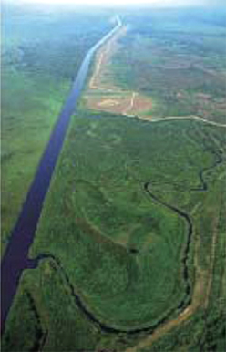 直線化したキシミー川