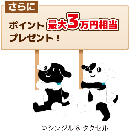 ポイント最大3万円相当プレゼント