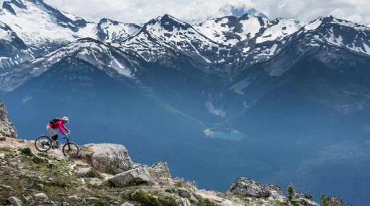 UBS House View Monthly Letter 6月号より一部抜粋　上手くいっていること