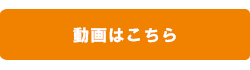 動画はこちら