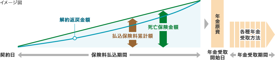 定額個人年金保険（平準払）のしくみ