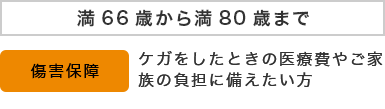 満66歳から満80歳までのお客さま