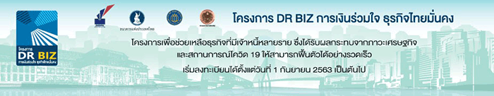 Debt Restructuring Program for Businesses